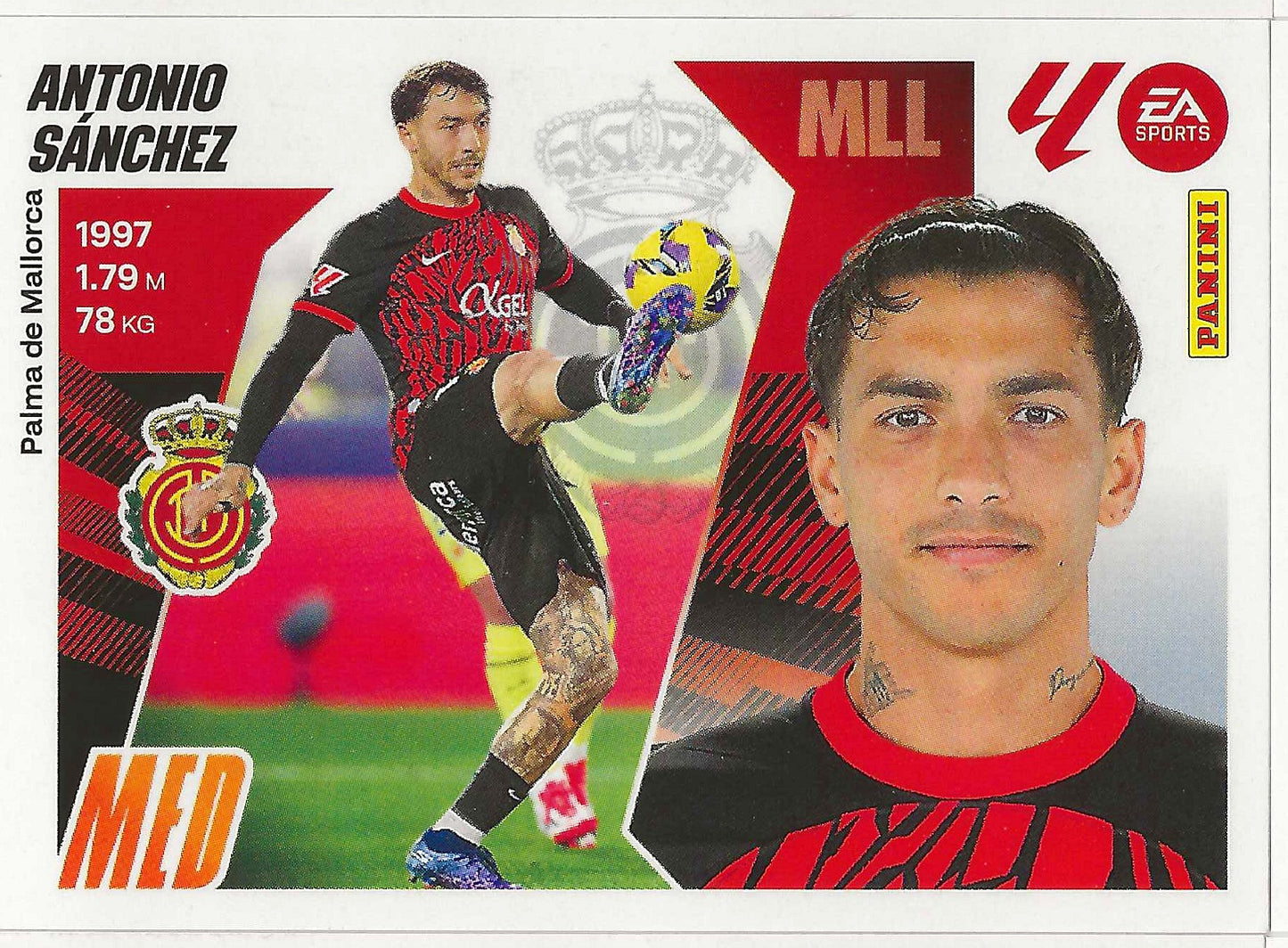 Antonio Sánchez Básica (14) - Liga ESTE 2025/2026