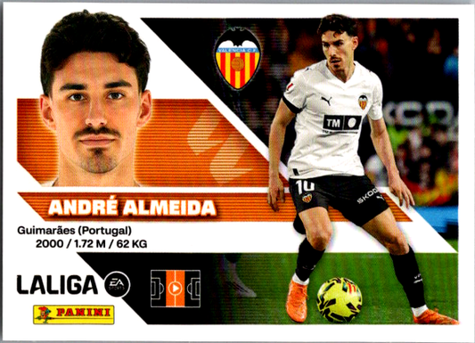 André Almeida Básica (16) - Liga ESTE 2026/2027