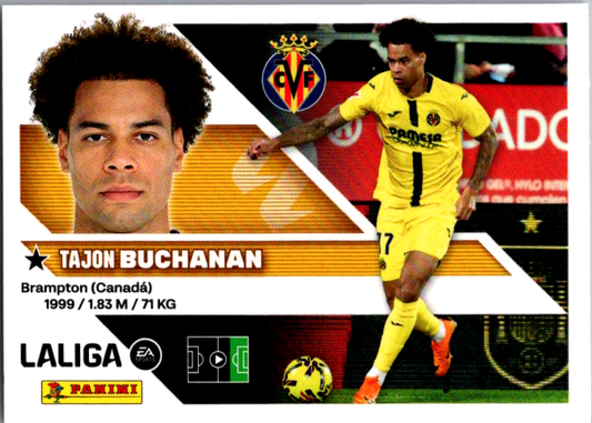 Buchanan Básica (15) - Liga ESTE 2026/2027