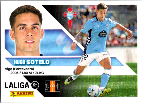 Sotelo Básica (14) - Liga ESTE 2026/2027