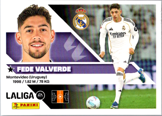 Fede Valverde Básica (12) - Liga ESTE 2026/2027