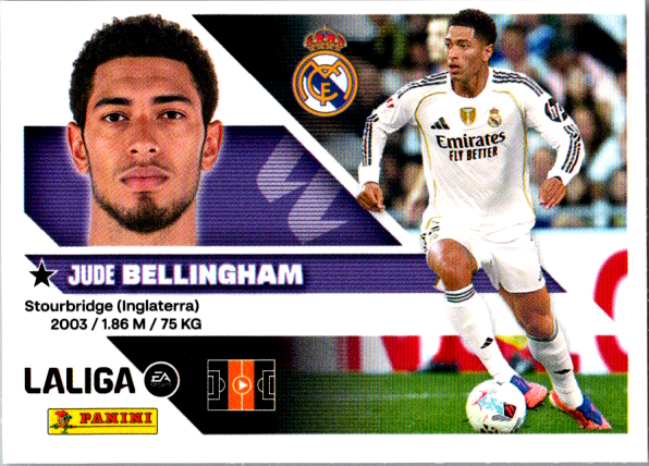 Bellingham Básica (14) - Liga ESTE 2026/2027