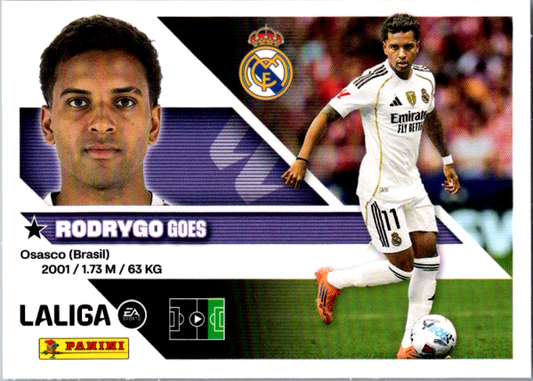 Rodrygo Básica (18) - Liga ESTE 2026/2027
