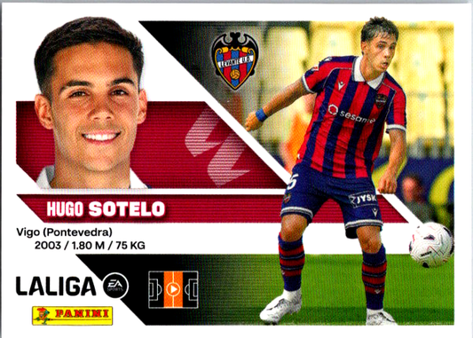 Sotelo Últimos Fichajes (13) - Liga ESTE 2026/2027