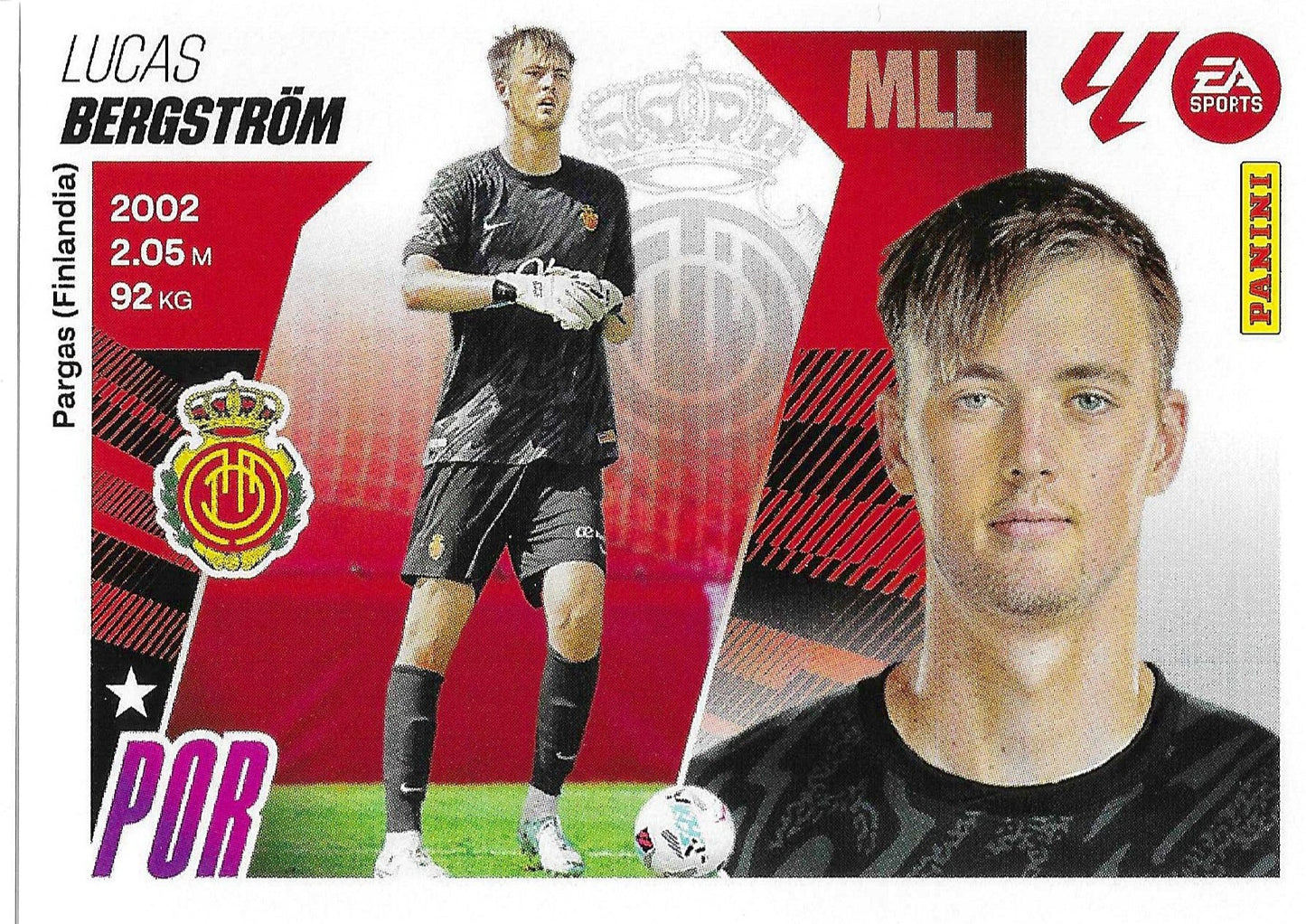 Bergstrom Básica (4)  - Liga ESTE 2025/2026