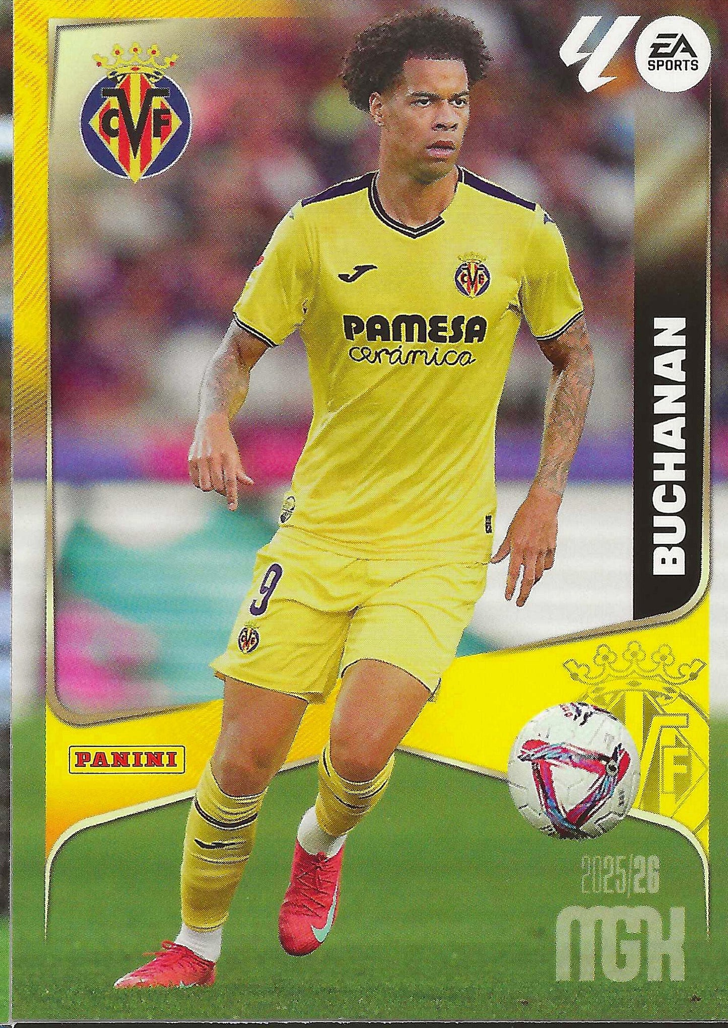 Buchanan Básica (373)  - Megacracks 2025/2026