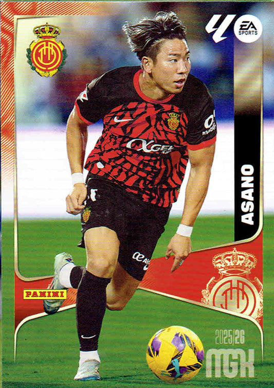 Asano Básica (249)  - Megacracks 2025/2026