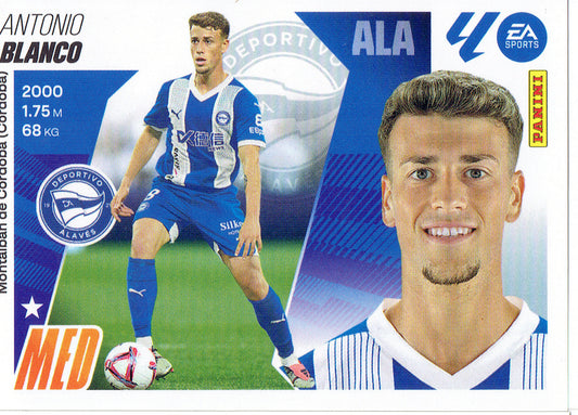 Blanco Básica (14)  - Liga ESTE 2025/2026