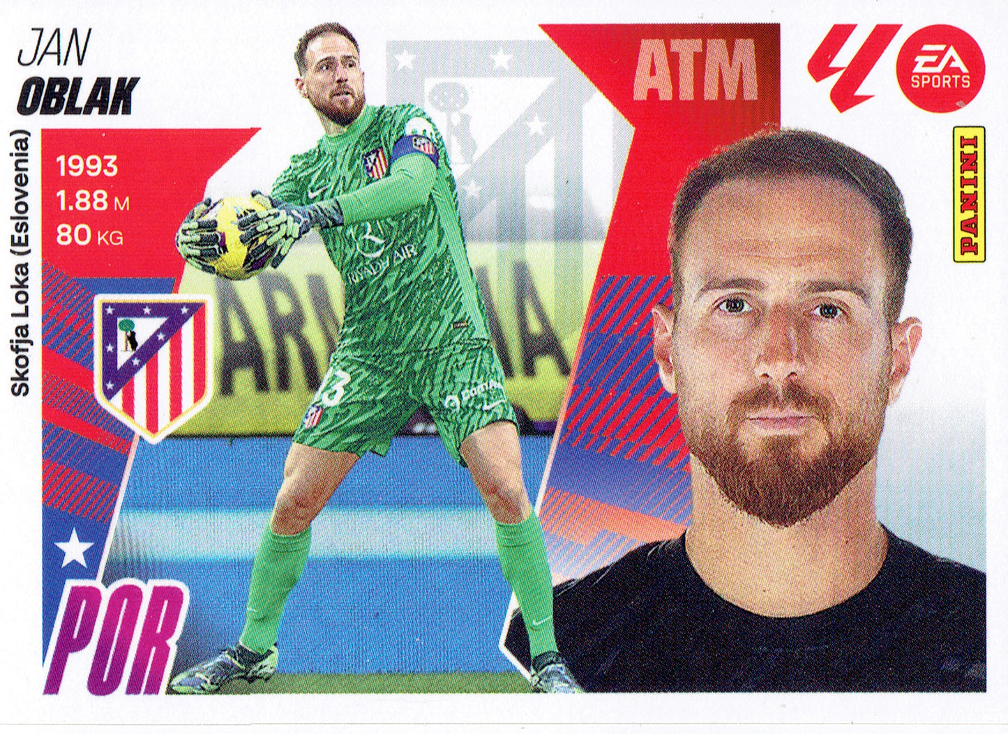 Oblak Básica (3)  - Liga ESTE 2025/2026