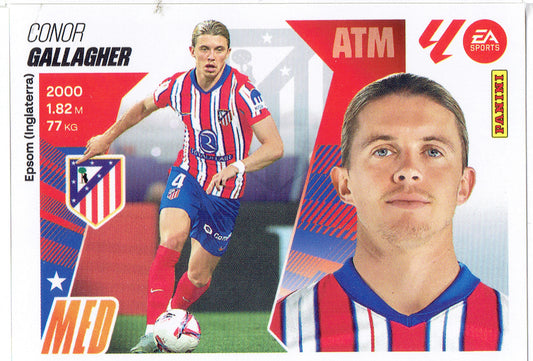 Gallagher Básica (10)  - Liga ESTE 2025/2026
