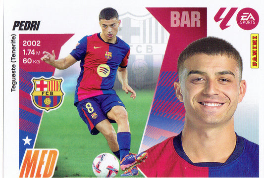 Pedri Básica (15)  - Liga ESTE 2025/2026