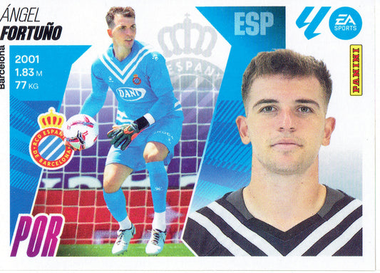 Fortuño Básica (4)  - Liga ESTE 2025/2026