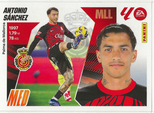Antonio Sánchez Básica (14)  - Liga ESTE 2025/2026