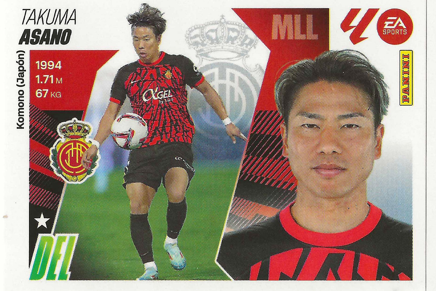 Asano Básica (18)  - Liga ESTE 2025/2026