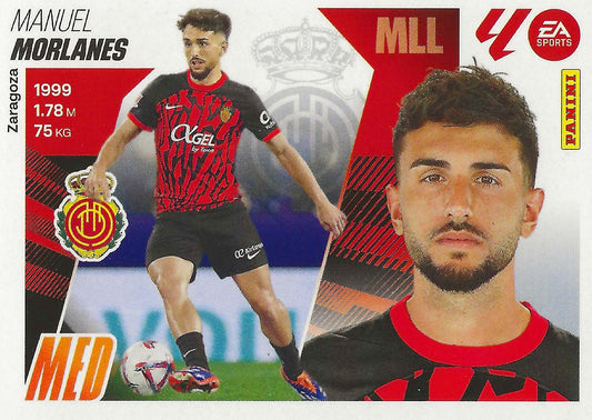 Morlanes Básica (16)  - Liga ESTE 2025/2026