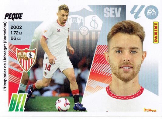 Peque Básica (16)  - Liga ESTE 2025/2026