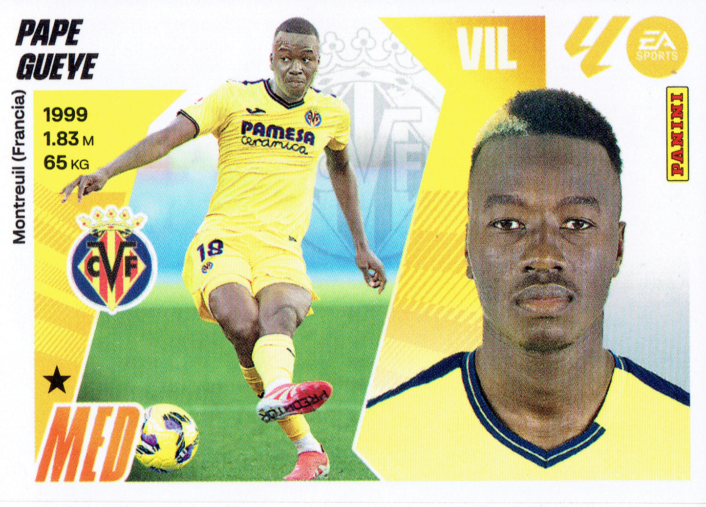 Pape Gueye Básica (12)  - Liga ESTE 2025/2026